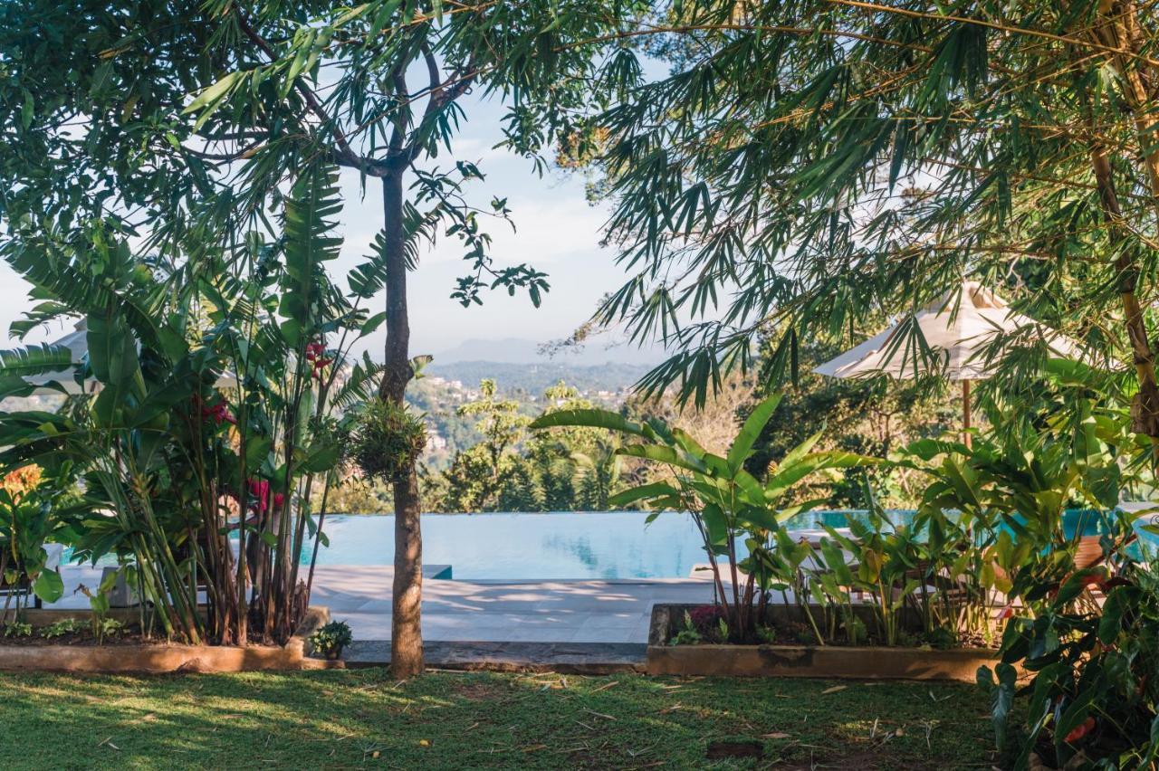 Villa Shenandoah Kandy Zewnętrze zdjęcie